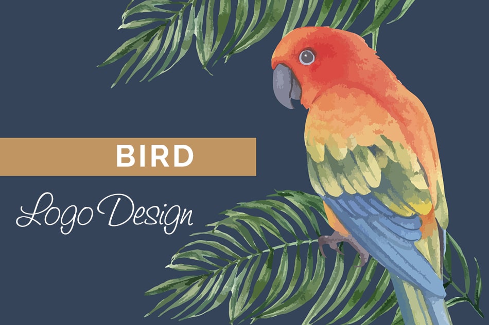 bird logo design